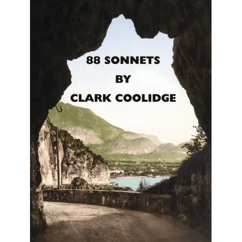88 Sonnets: Poems - Paperback - iShook Books