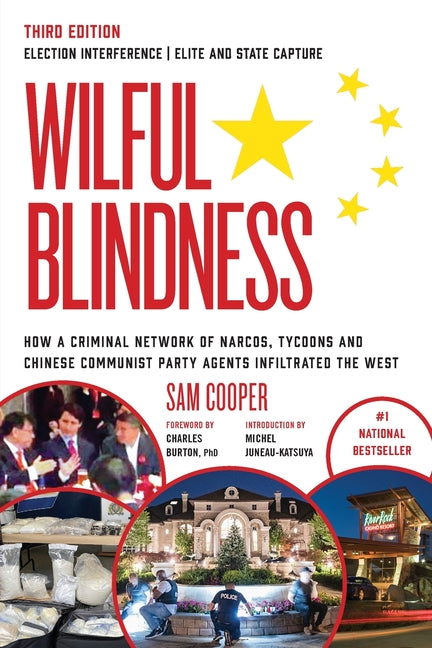 Wilful Blindness Election Interference Elite and State Capture