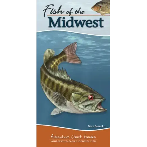 Fish of the Midwest: Your Way to Easily Identify Fish