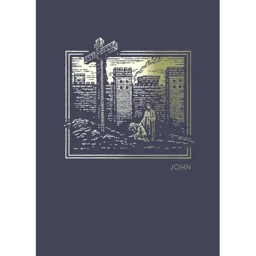 Net Abide Bible Journal - John, Paperback, Comfort Print: Holy Bible