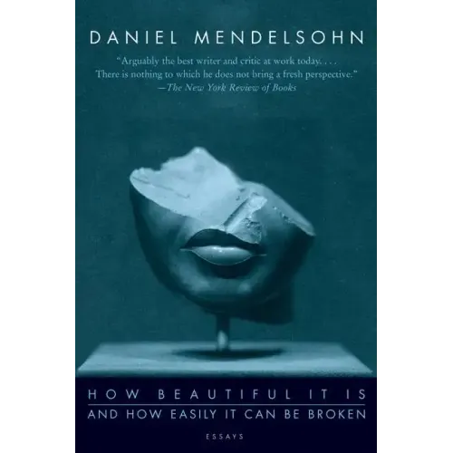 How Beautiful It Is and How Easily It Can Be Broken: Essays