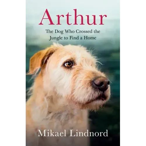 Arthur: The Dog Who Crossed the Jungle to Find a Home