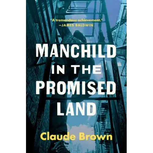 Manchild in the Promised Land