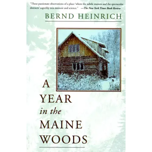 A Year in the Maine Woods