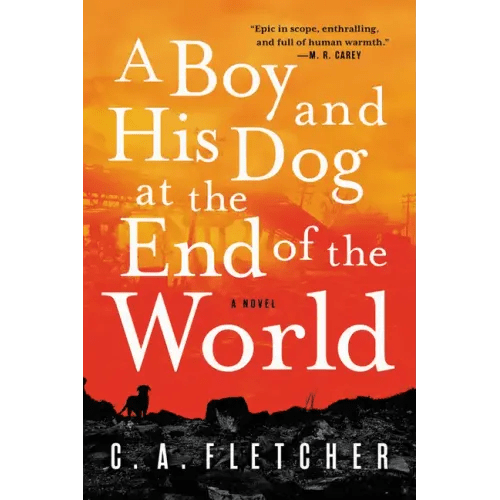 A Boy and His Dog at the End of the World - Paperback - iShook Books