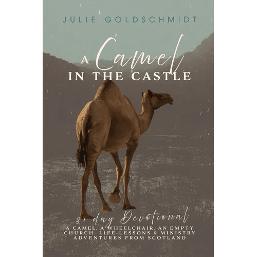 A Camel in the Castle - Paperback - iShook Books