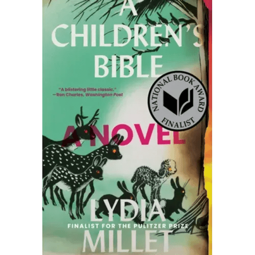 A Children's Bible - Paperback - iShook Books