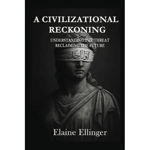 A Civilizational Reckoning: Understanding the Threat, Reclaiming the Future - Paperback - iShook Books