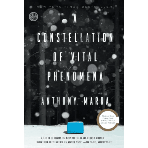 A Constellation of Vital Phenomena - Paperback - iShook Books