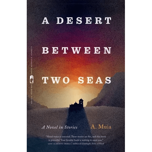 A Desert Between Two Seas: A Novel in Stories - Paperback - iShook Books