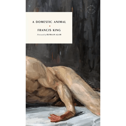 A Domestic Animal - Paperback - iShook Books