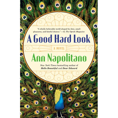 A Good Hard Look - Paperback - iShook Books