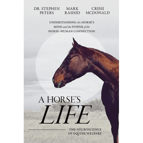 A Horse's Life: The Neuroscience of Equine Welfare - Paperback - iShook Books