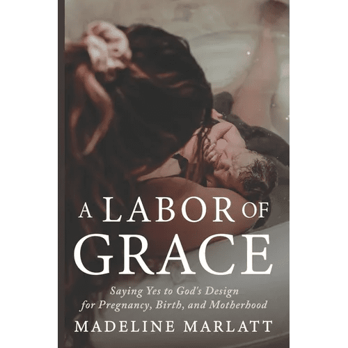 A Labor of Grace: Saying Yes to God's Design for Pregnancy, Birth, and Motherhood - Paperback - iShook Books