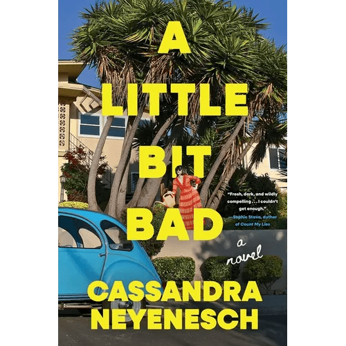 A Little Bit Bad - Hardcover - iShook Books