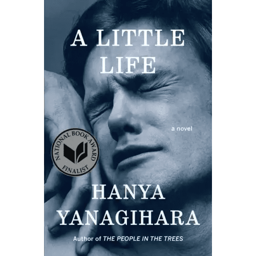 A Little Life - Hardcover - iShook Books