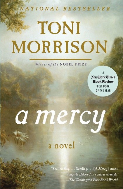 A Mercy - iShook Books