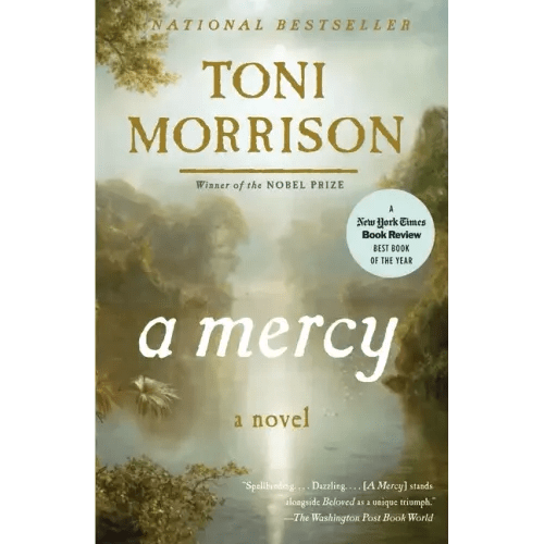 A Mercy - Paperback - iShook Books