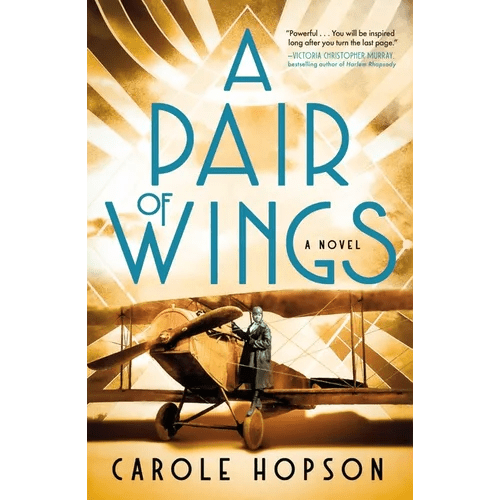 A Pair of Wings - Paperback - iShook Books