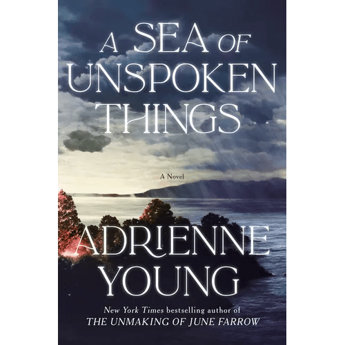 A Sea of Unspoken Things - Hardcover - iShook Books