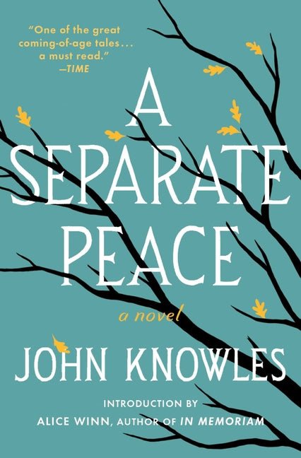 A Separate Peace - iShook Books