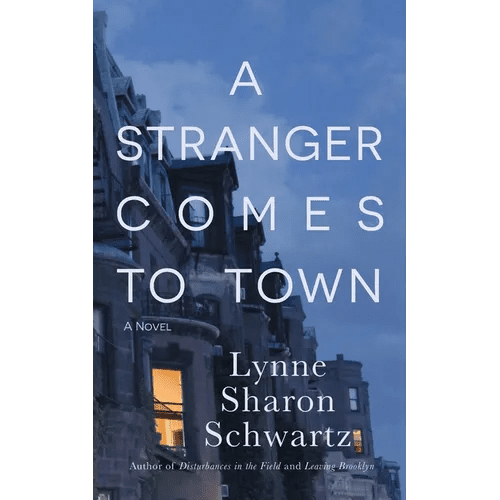 A Stranger Comes to Town - Paperback - iShook Books