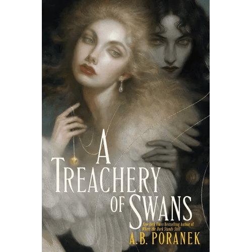 A Treachery of Swans - Hardcover - iShook Books