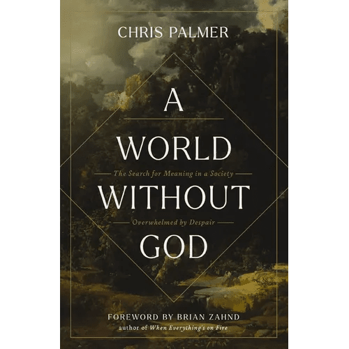 A World Without God: The Search for Meaning in a Society Overwhelmed by Despair - Paperback - iShook Books
