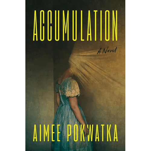 Accumulation - Hardcover - iShook Books
