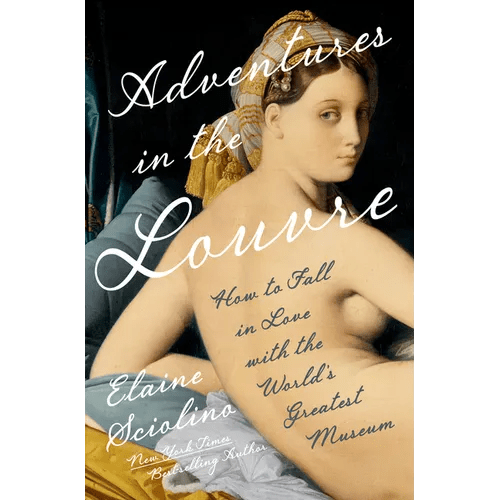 Adventures in the Louvre: How to Fall in Love with the World's Greatest Museum - Hardcover - iShook Books