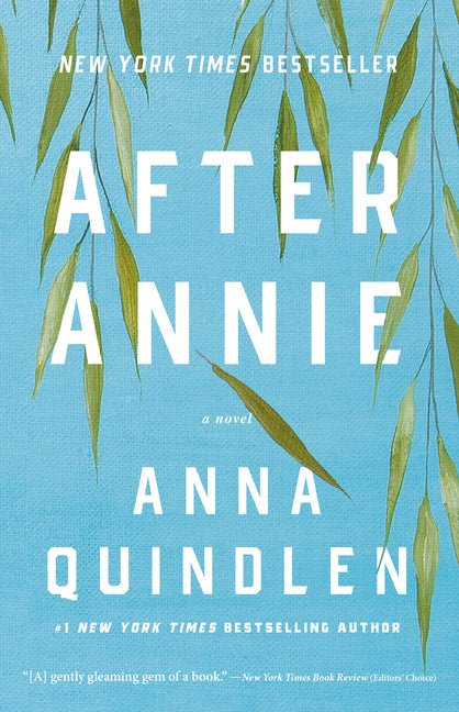 After Annie - iShook Books