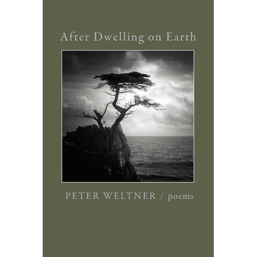 After Dwelling on Earth - Paperback - iShook Books