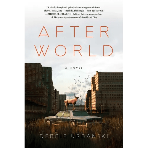After World - Paperback - iShook Books