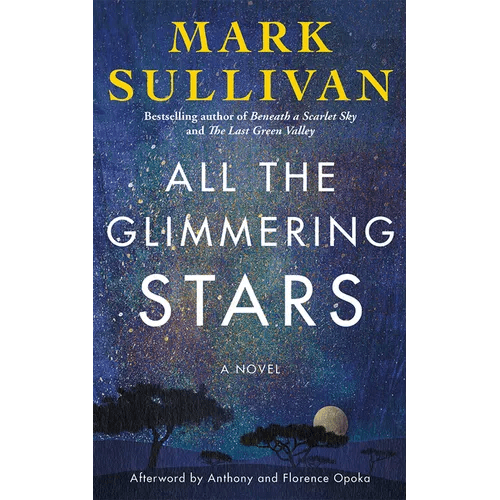 All the Glimmering Stars - Hardcover - iShook Books