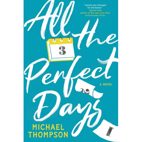 All the Perfect Days - Paperback - iShook Books