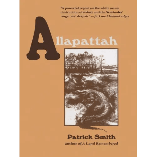 Allapattah - Paperback - iShook Books