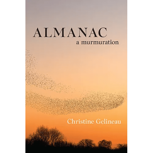 Almanac: A Murmuration - Paperback - iShook Books