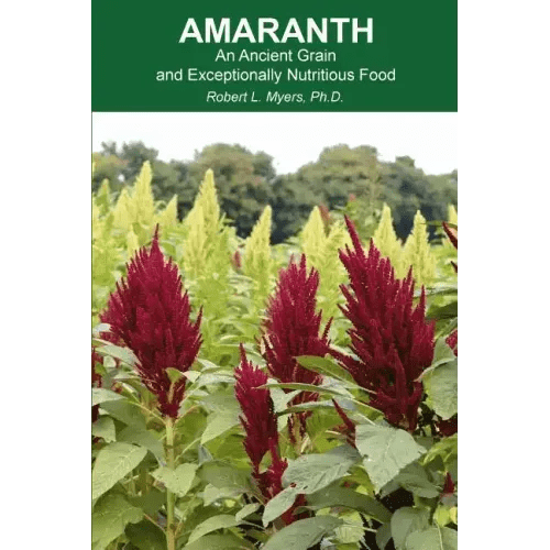 Amaranth: An Ancient Grain and Exceptionally Nutritious Food - Paperback - iShook Books