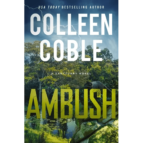 Ambush: A Small - Town Romantic Suspense - Paperback - iShook Books
