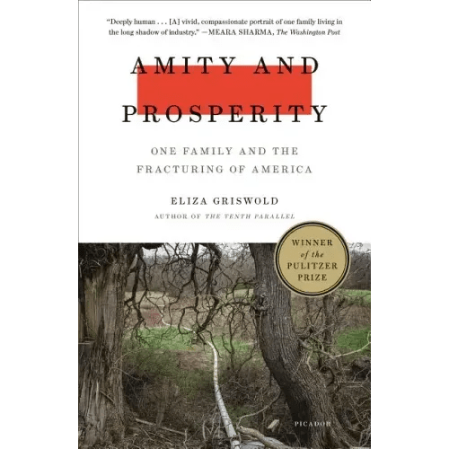 Amity and Prosperity: One Family and the Fracturing of America - Paperback - iShook Books