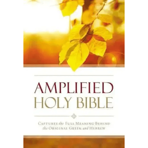 Amplified Outreach Bible, Paperback: Capture the Full Meaning Behind the Original Greek and Hebrew - Paperback - iShook Books
