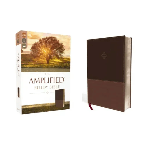Amplified Study Bible, Imitation Leather, Brown - Imitation Leather - iShook Books