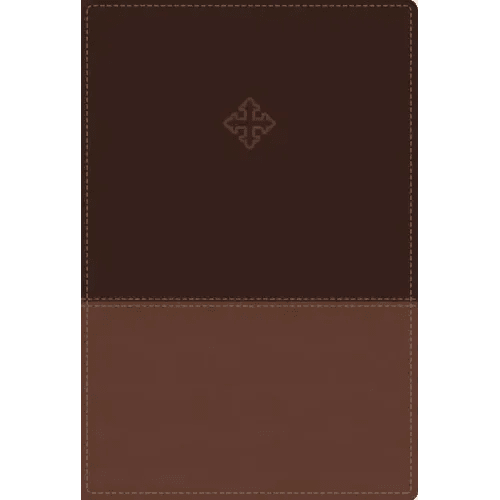 Amplified Study Bible, Imitation Leather, Brown, Indexed - Imitation Leather - iShook Books