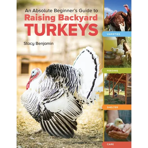 An Absolute Beginner's Guide to Raising Backyard Turkeys: Varieties, Feeding, Shelter, Care - Paperback - iShook Books