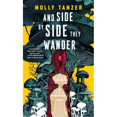 And Side by Side They Wander - Hardcover - iShook Books