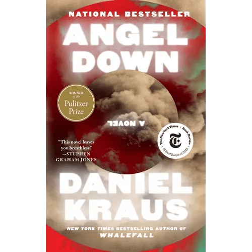 Angel Down (Pulitzer Prize Winner) - Paperback - iShook Books
