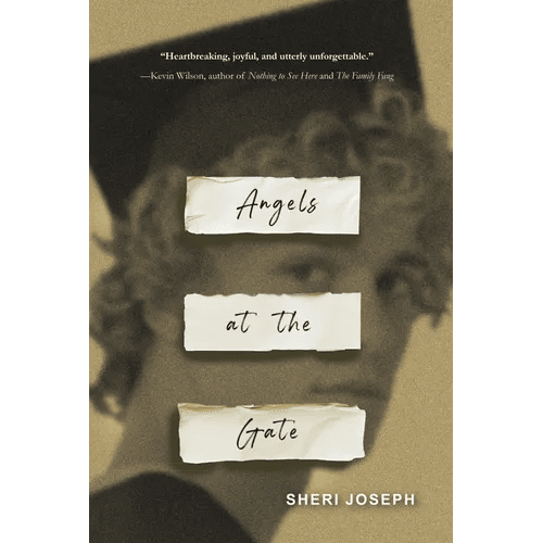 Angels at the Gate - Paperback - iShook Books