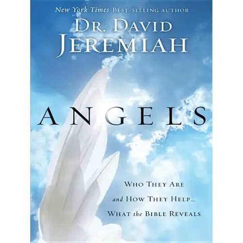 Angels: Who They Are and How They Help... What the Bible Reveals - Paperback - iShook Books
