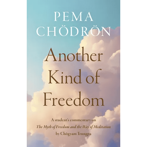 Another Kind of Freedom - Hardcover - iShook Books
