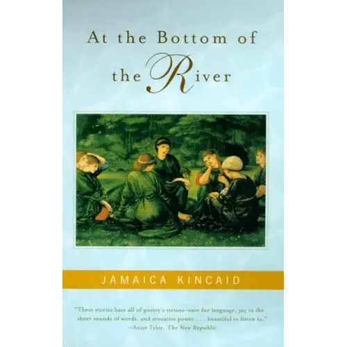 At the Bottom of the River - Paperback - iShook Books